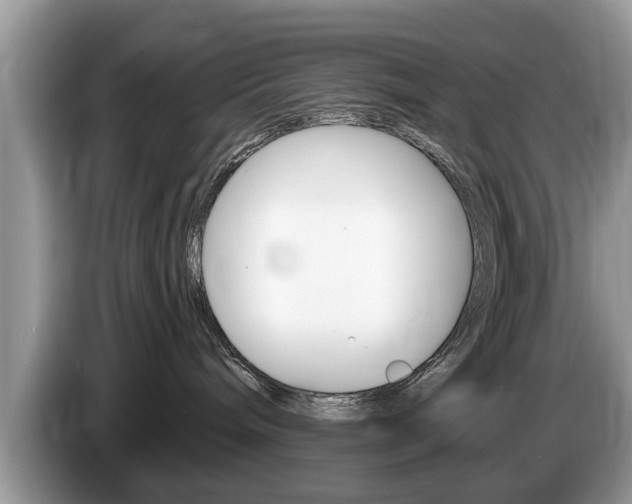 X0000087570240200704270949