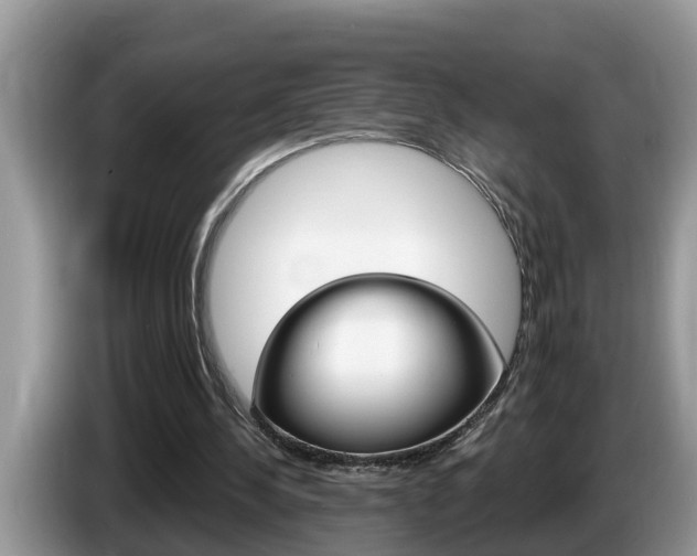 X0000087570244200704270948