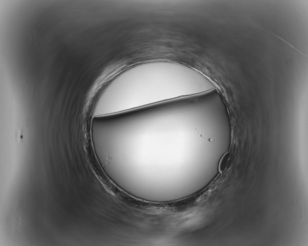 X0000087570245200704270948