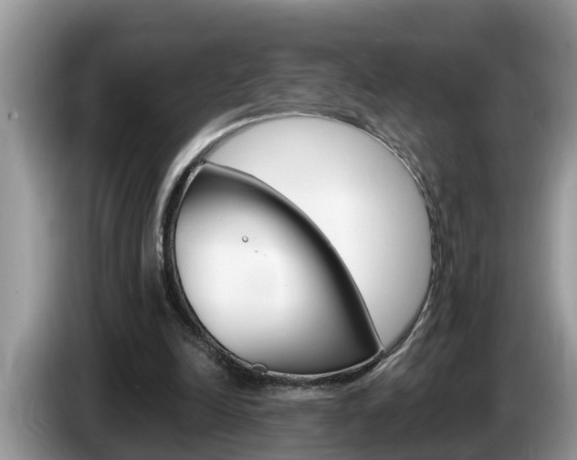 X0000087570246200704270948