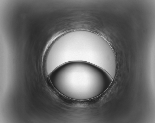 X0000087570248200704270948