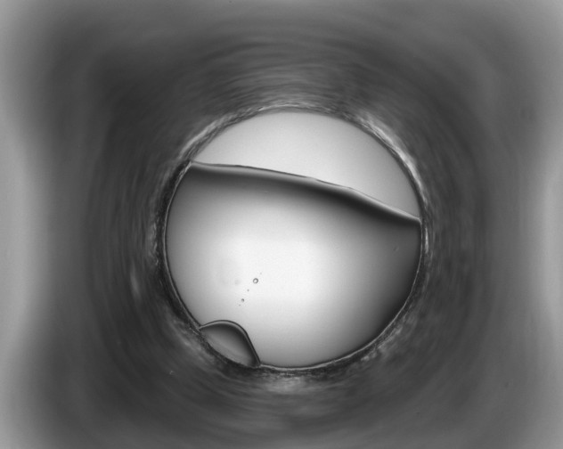 X0000087570249200704270948