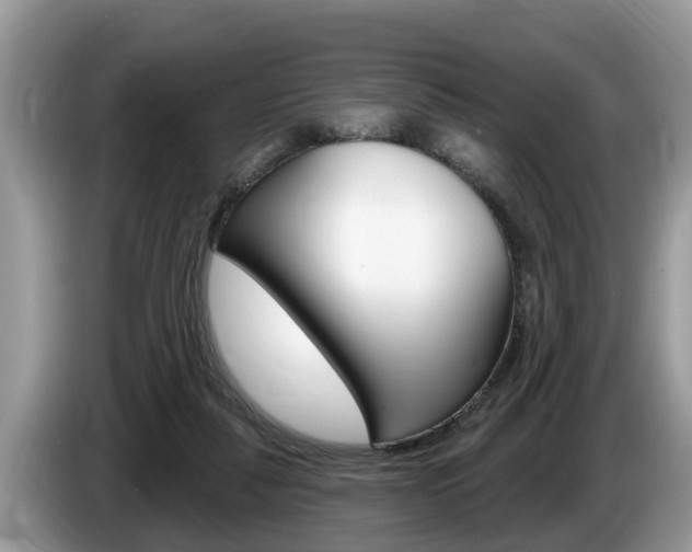 X0000087570259200704270949