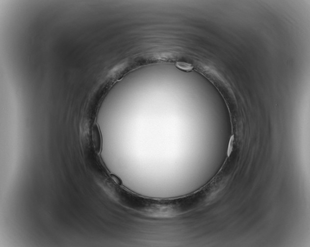 X0000087570260200704270949