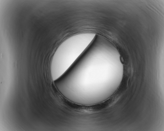 X0000087570263200704270949