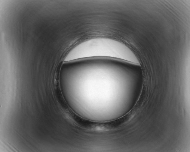 X0000087570264200704270949