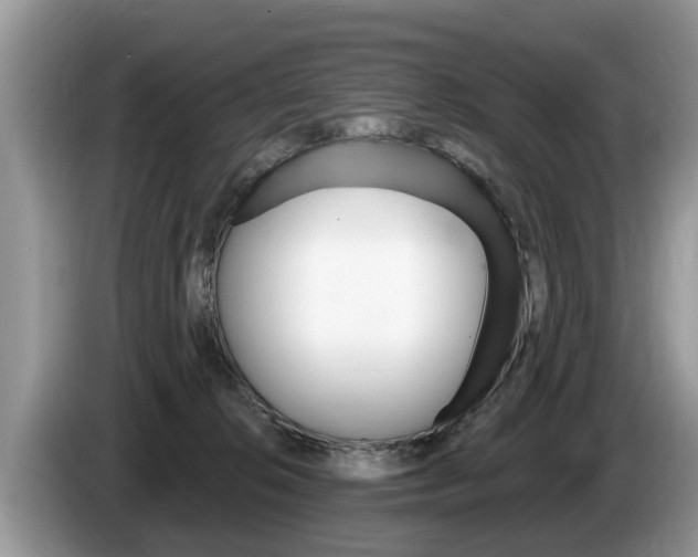 X0000087570276200704270949