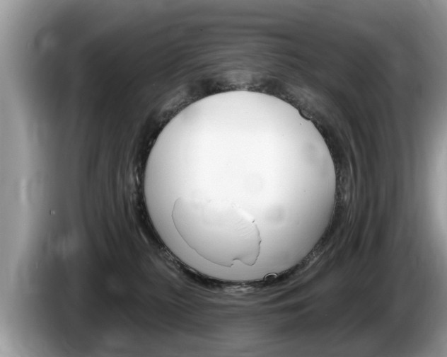 X0000087570279200704270949