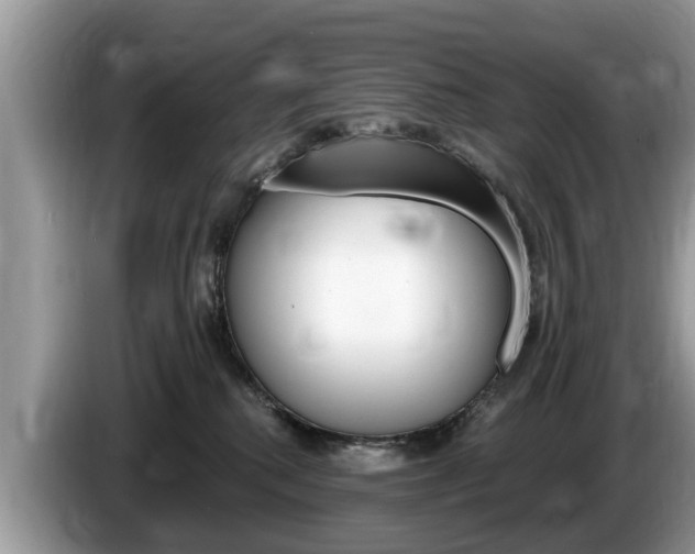 X0000087570280200704270949