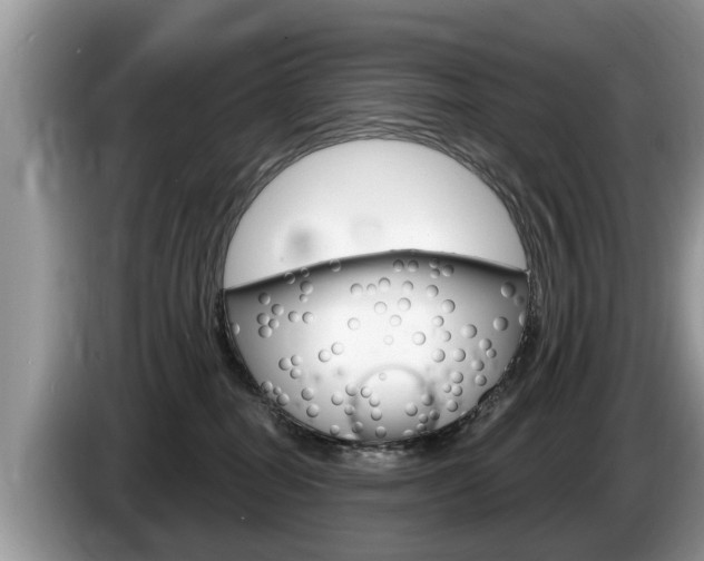 X0000087570282200704270949