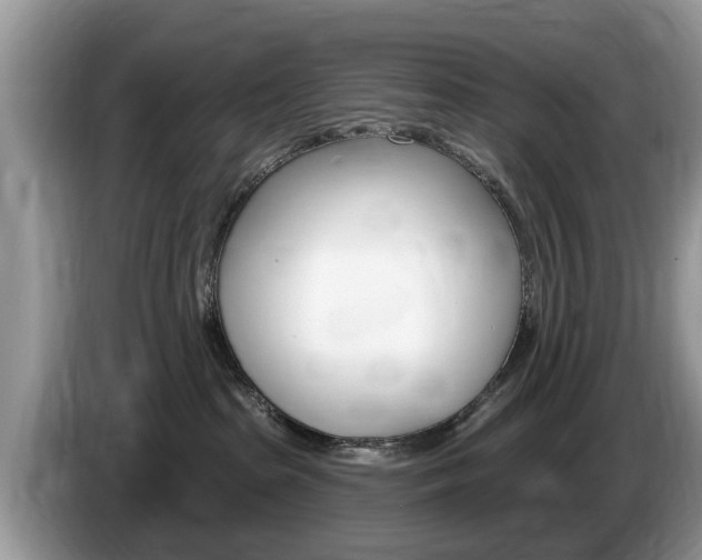 X0000087570285200704270949