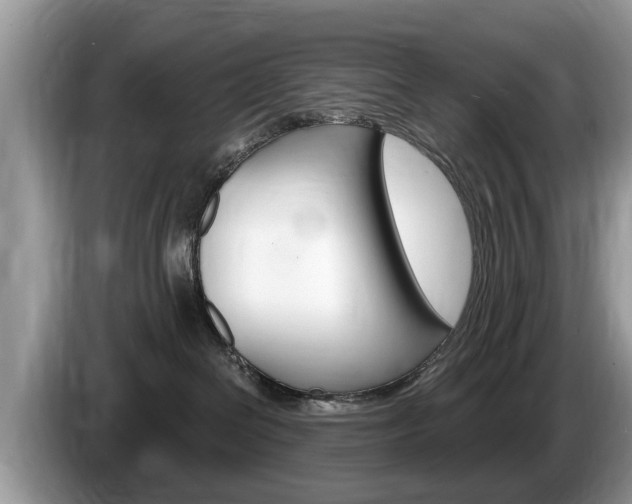 X0000087570286200704270949