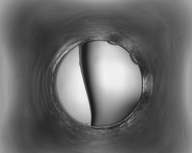X0000087570291200704270948