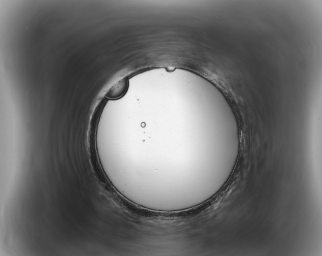 X0000087570292200704270948
