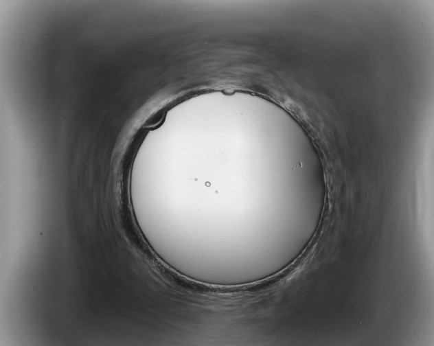 X0000087570295200704270948
