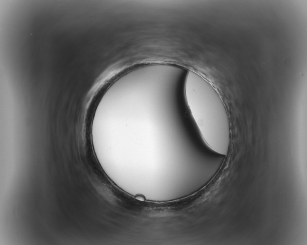 X0000087570296200704270948