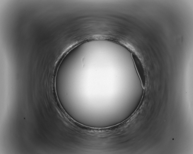X0000087570297200704270948