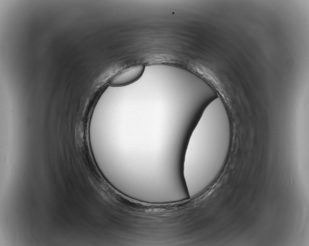 X0000087570298200704270948