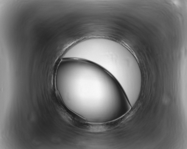 X0000087570301200704270948