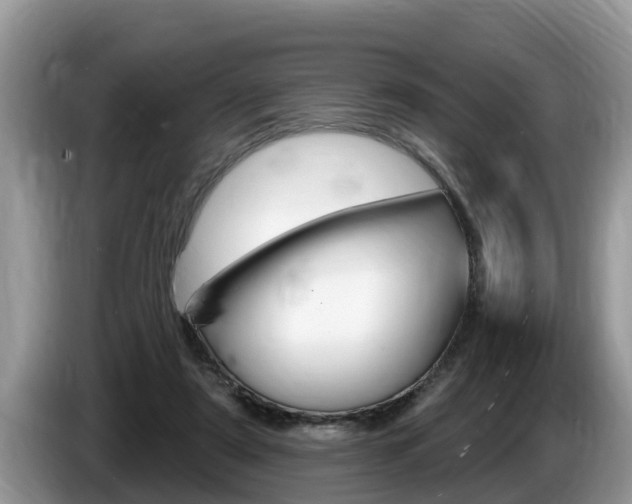 X0000087570307200704270948