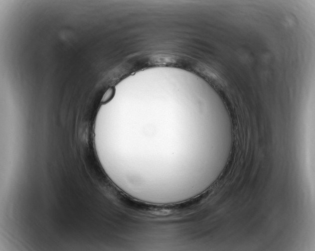 X0000087570315200704270948