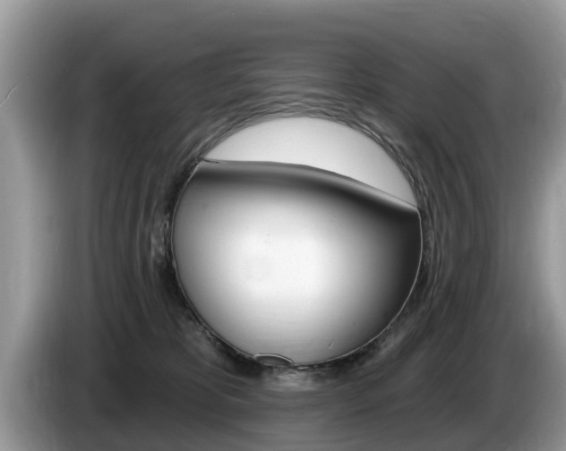 X0000087570325200704270948