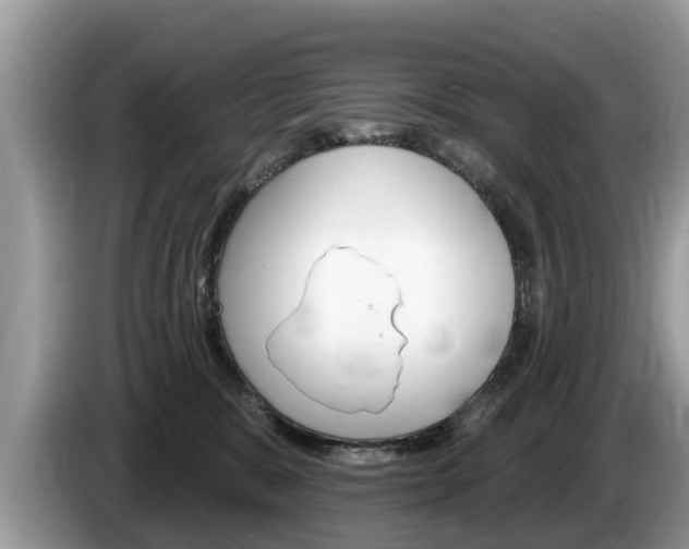 X0000087570327200704270948