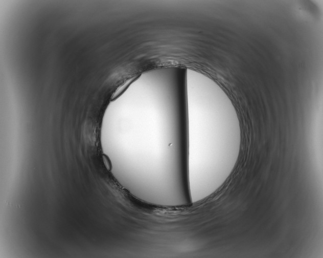 X0000087570331200704270948