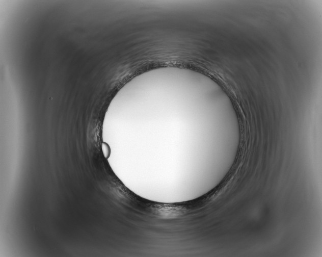 X0000087570336200704270948