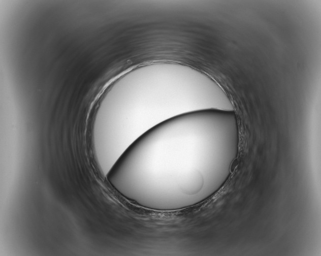 X0000087570338200704270947