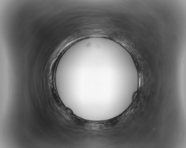 X0000087570339200704270947