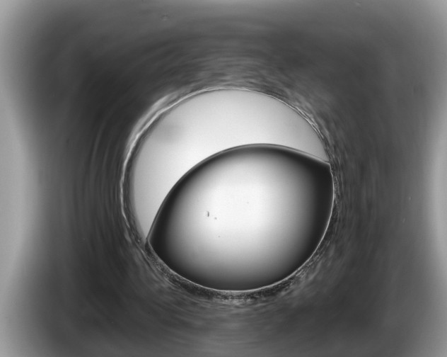 X0000087570340200704270947