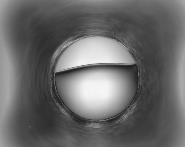 X0000087570341200704270947
