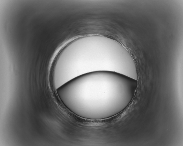 X0000087570342200704270947