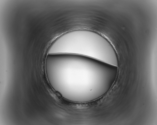 X0000087570345200704270947