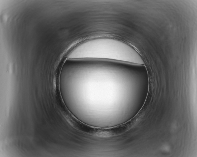 X0000087570350200704270947