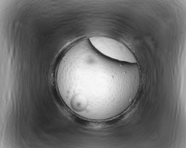 X0000087570351200704270947