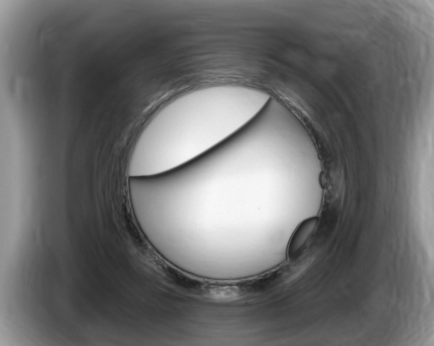 X0000087570355200704270947