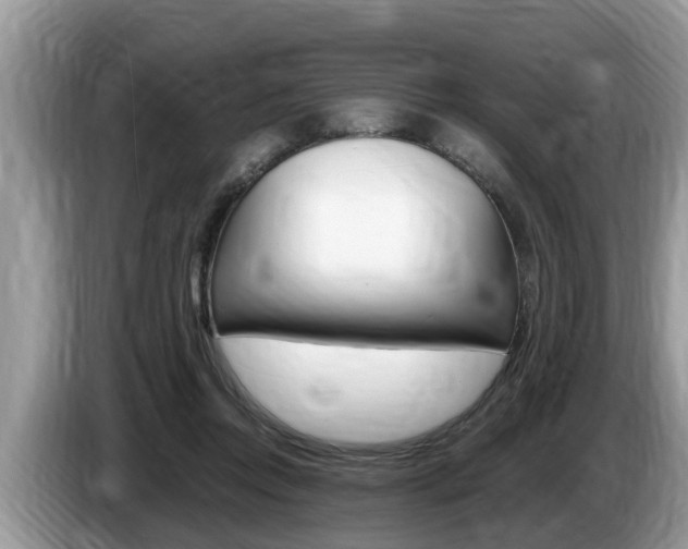 X0000087570358200704270947