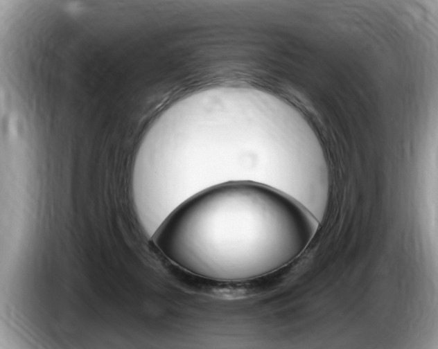 X0000087570362200704270948