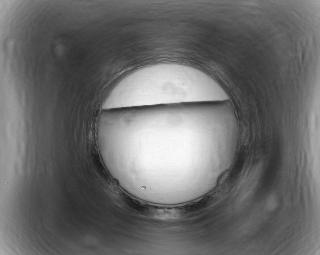 X0000087570363200704270948