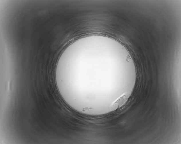 X0000087570370200704270948
