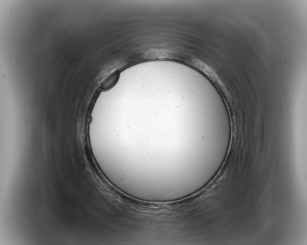 X0000087570386200704270947