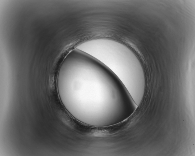 X0000087570403200704270947