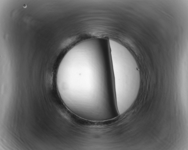 X0000087570404200704270947