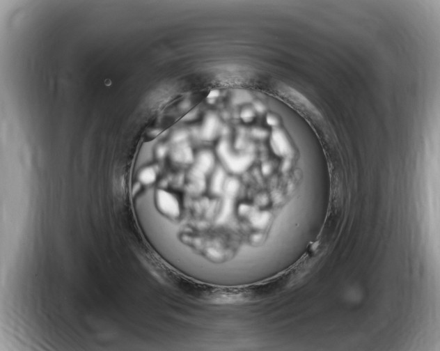 X0000087570405200704270947