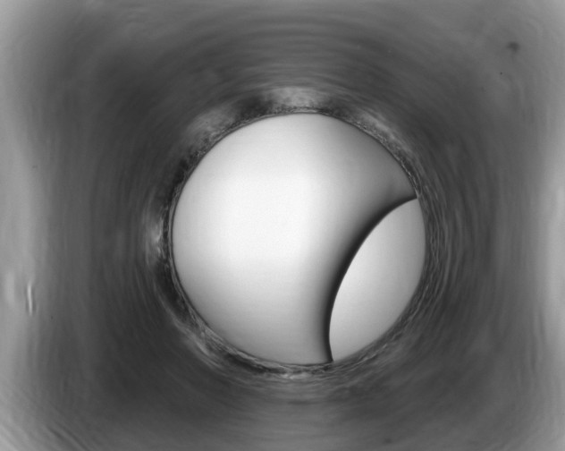 X0000087570406200704270947