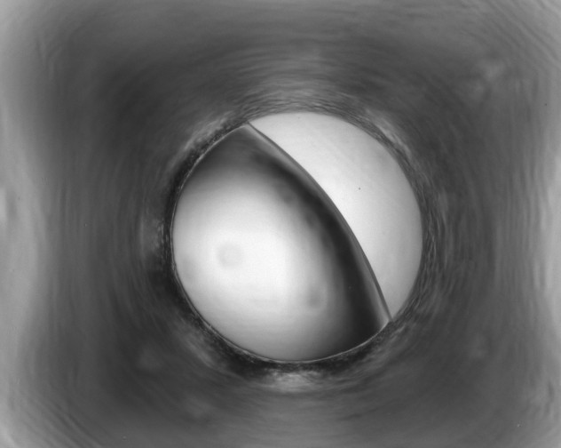 X0000087570407200704270947
