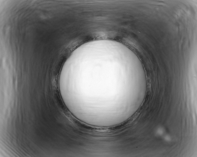 X0000087570410200704270947