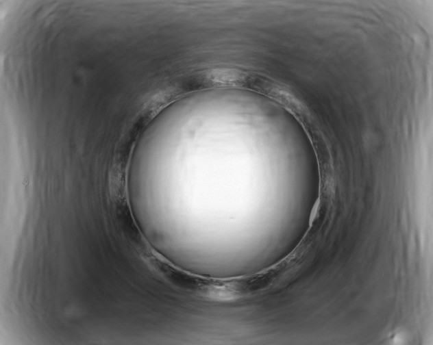 X0000087570411200704270947